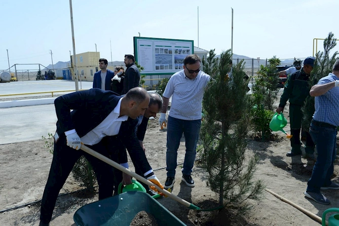 Heydər Əliyevin 100 illik yubileyi münasibətilə CEPI tərəfindən ağacəkmə kampaniyası keçirilib — FOTO