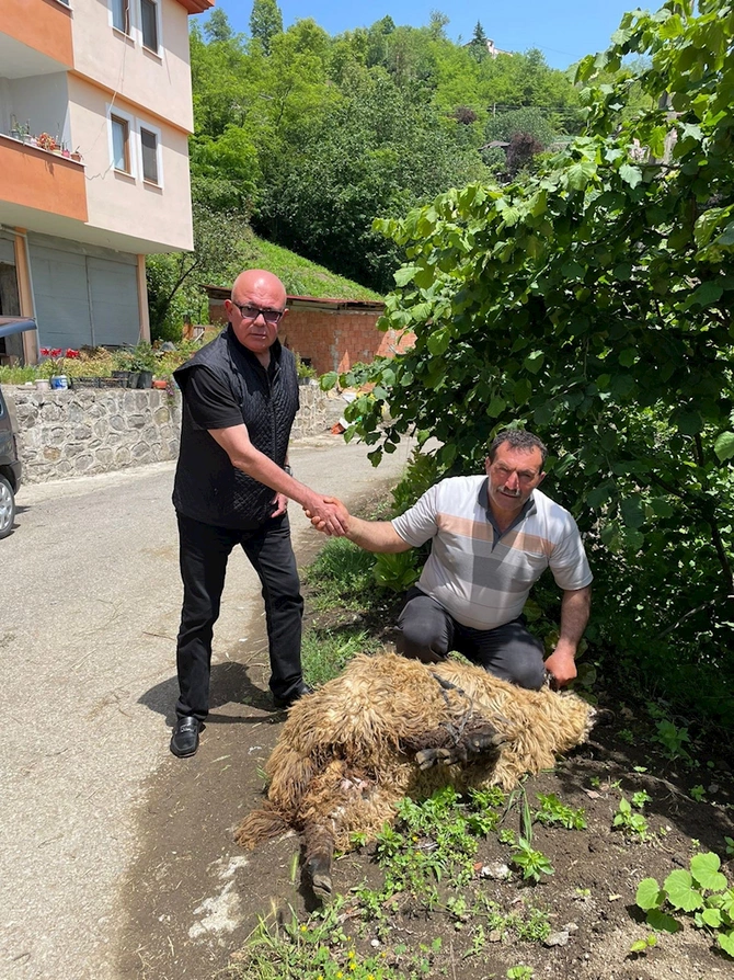 Keçmiş komitə sədri Ərdoğanın qələbəsi şərəfinə qurban kəsdi — FOTOLAR Keçmiş komitə sədri Ərdoğanın qələbəsi şərəfinə qurban kəsdi — FOTOLAR