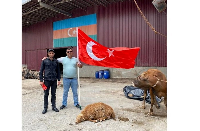 Sərvər Ərdoğanın seçilməsi münasibətilə qurban kəsdi — FOTO