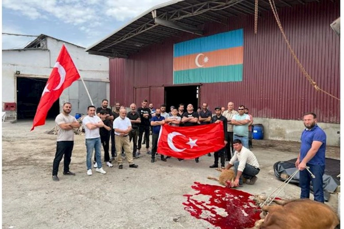 Sərvər Ərdoğanın seçilməsi münasibətilə qurban kəsdi — FOTO
