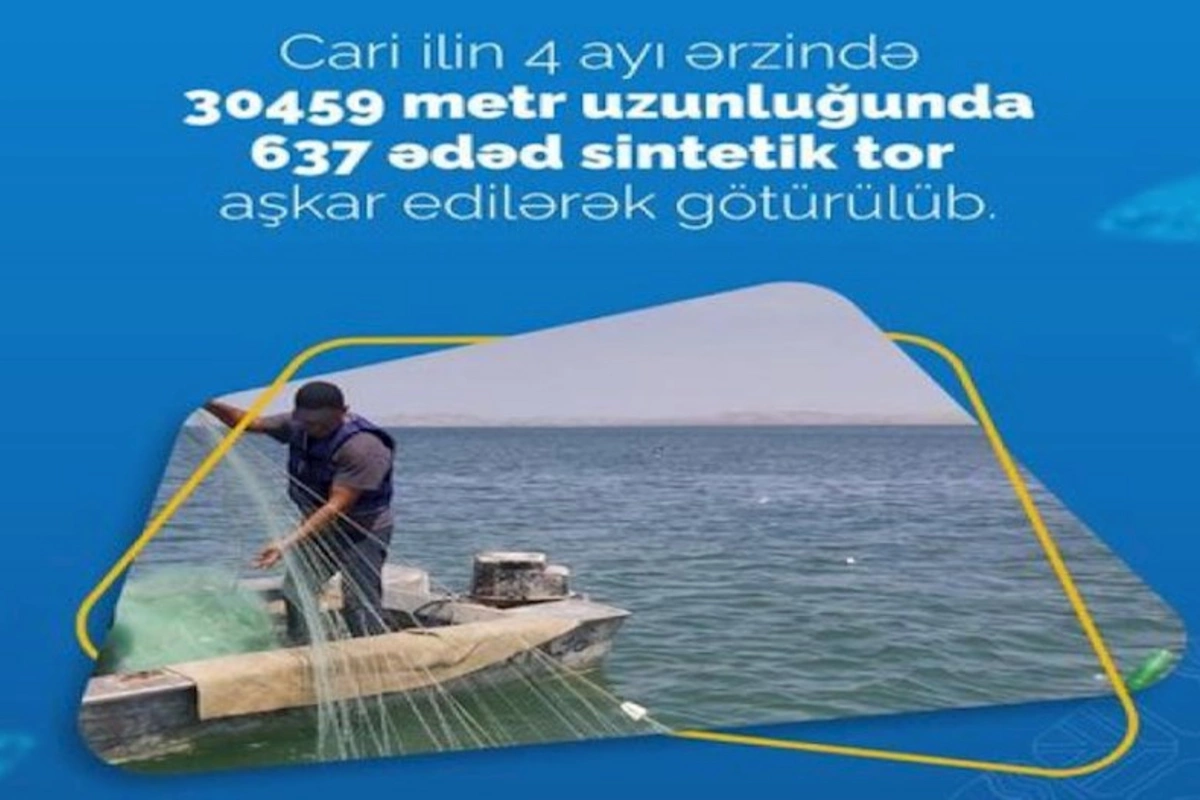 Bu il su hövzələrində 637 ədəd sintetik tor aşkar edilib
