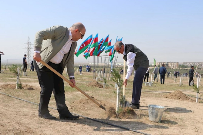 Ulu Öndər Heydər Əliyevin 100 illik yubileyi ilə əlaqədar ağacəkmə tədbirləri davam edir — FOTOLAR