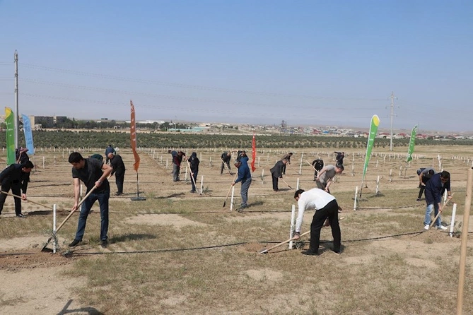 Ulu Öndər Heydər Əliyevin 100 illik yubileyi ilə əlaqədar ağacəkmə tədbirləri davam edir — FOTOLAR
