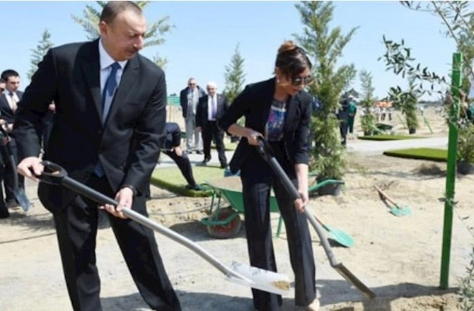 Dolunu necə zərərsizləşdirməli? — ARAŞDIRMA Dolunu necə zərərsizləşdirməli? — ARAŞDIRMA