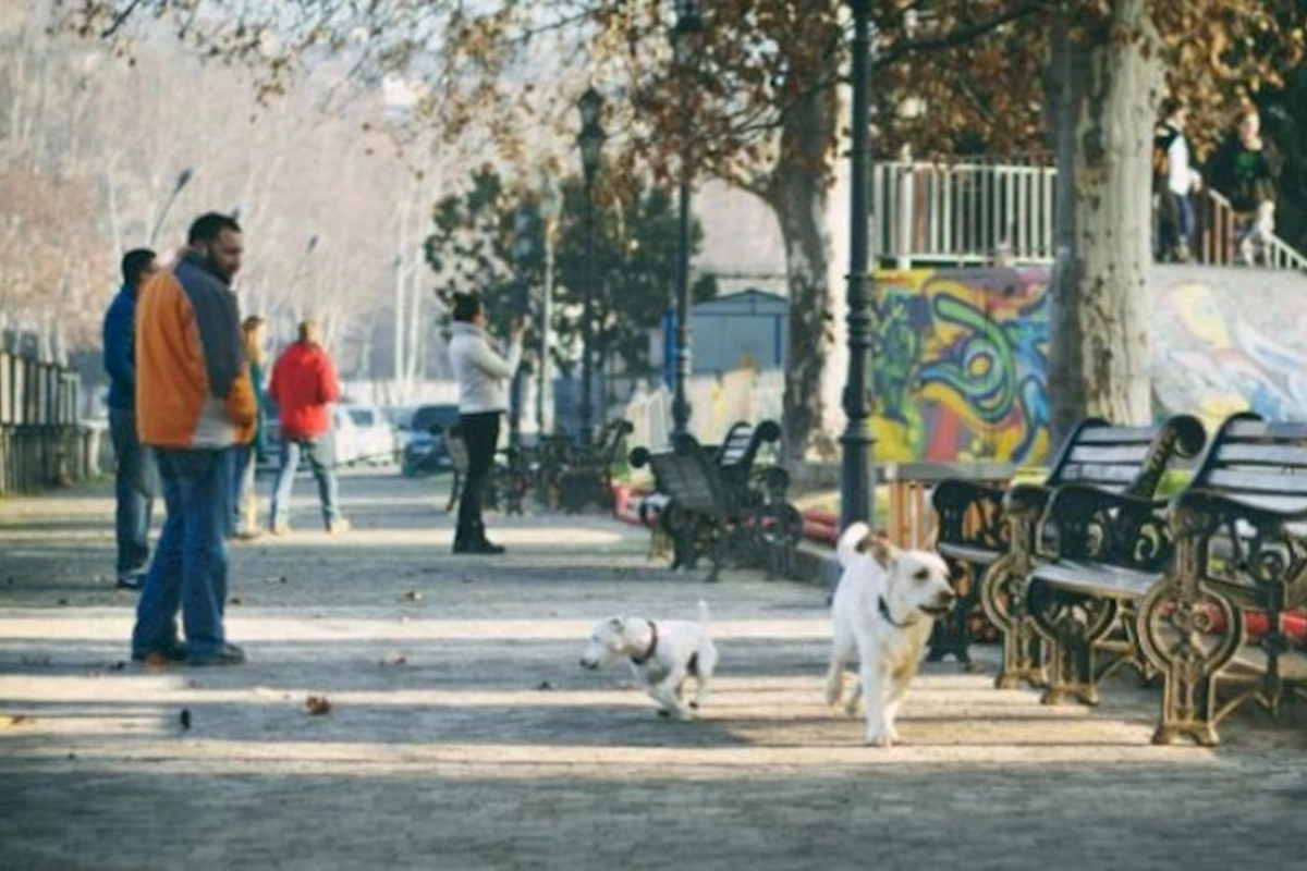 Qonşu ölkədə təhlükəli virusa yoluxma halları artır