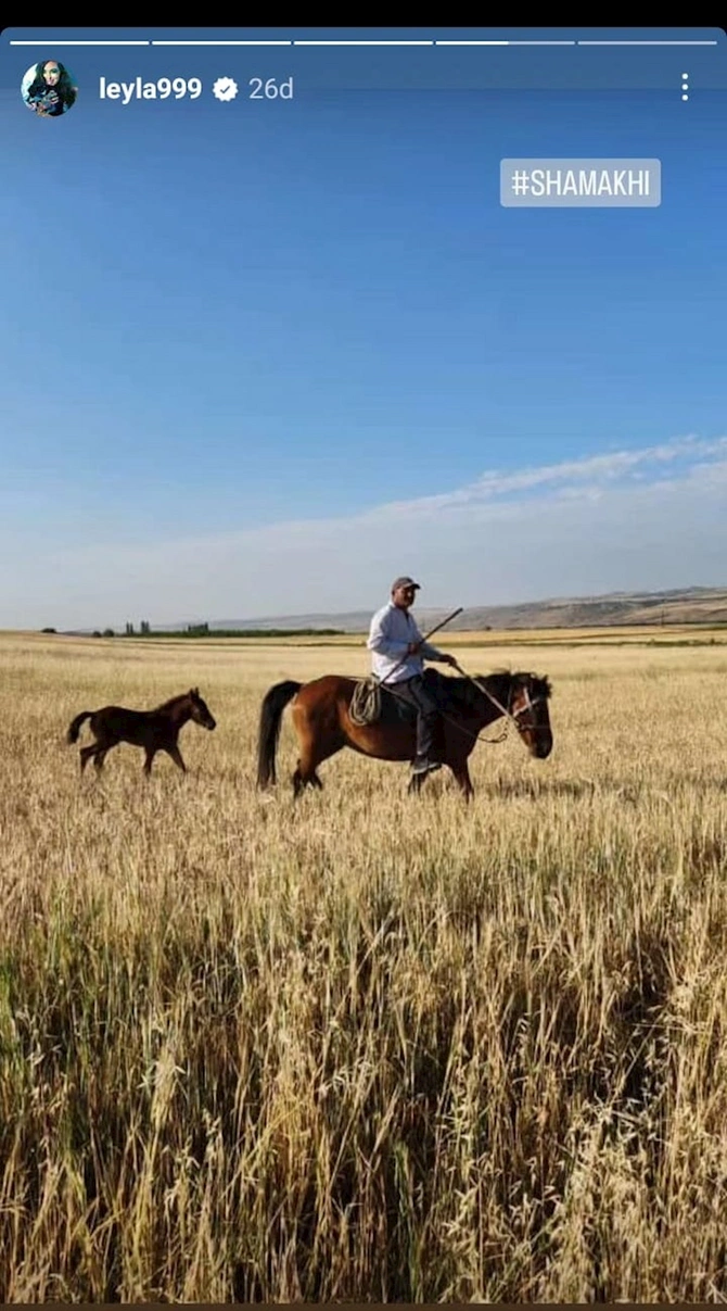 Leyla Əliyeva festivaldan paylaşım etdi — FOTOLAR Leyla Əliyeva festivaldan paylaşım etdi — FOTOLAR