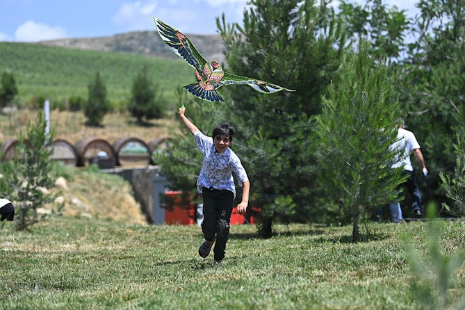 Azərbaycanda ilk Hava Şarları Festivalı keçirildi — FOTO