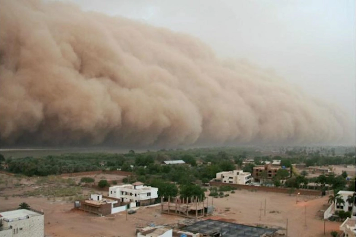 Misirdə dəhşətli qum fırtınası — Ölən və yaralananlar var