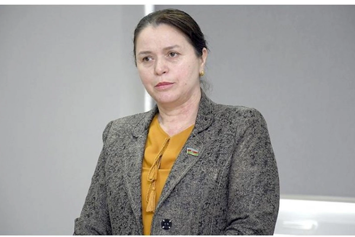 Söyüdlüdəki hadisələrin arxasında bəzi qüvvələr dayanır — Gədəbəyin xanım deputatı DANIŞDI