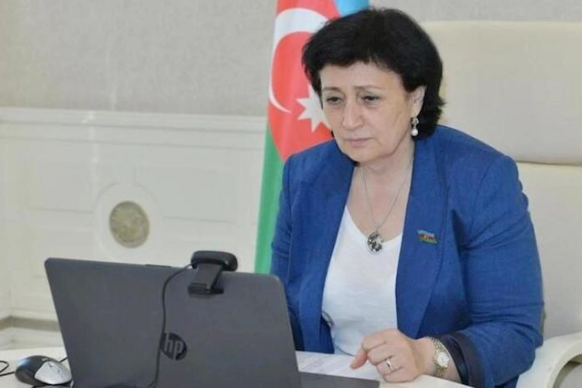 Deputat: “ABŞ-ın Bakıdakı səfirliyi çox düzgün hərəkət edib, rəsmi tədbirdir, aksiya iştirakçıları şou göstəriblər...”