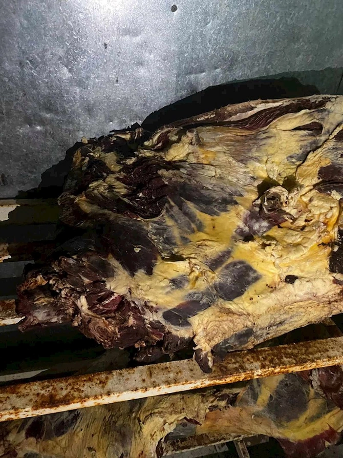 Bu şadlıq sarayında yararsız məhsullar aşkarlandı — FOTOLAR