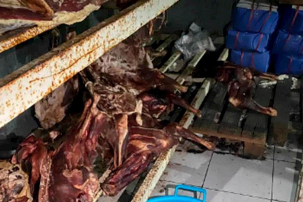 Bu şadlıq sarayında yararsız məhsullar aşkarlandı — FOTOLAR