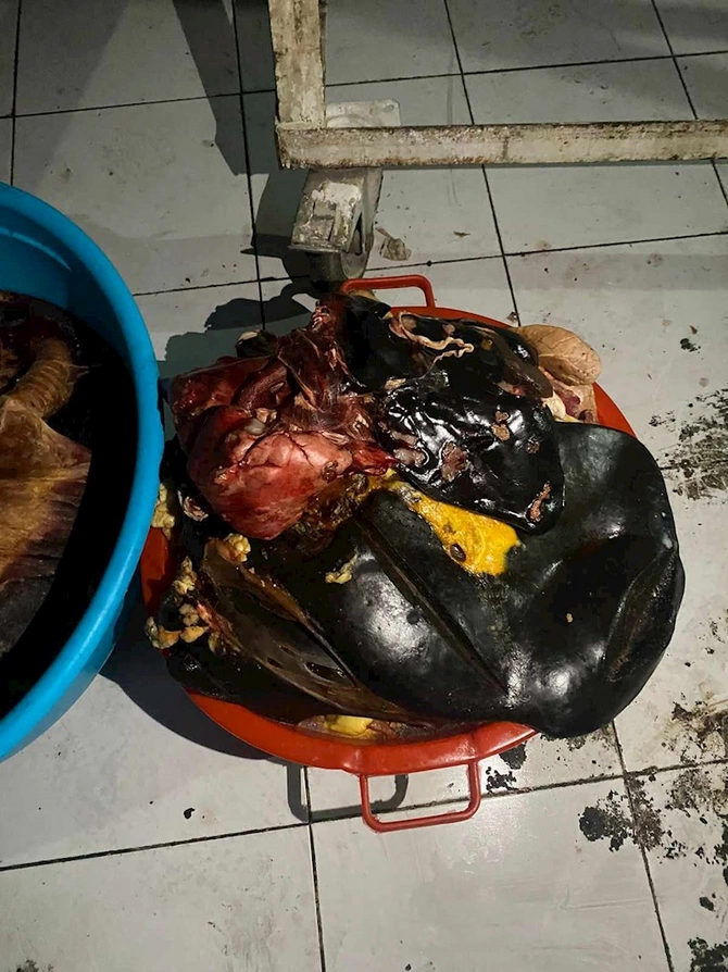 Bu şadlıq sarayında yararsız məhsullar aşkarlandı — FOTOLAR