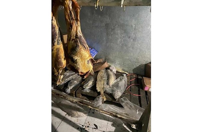 “Yeganə” şadlıq sarayı 92 min manat vergi borcunu ödəmir — FOTOLAR “Yeganə” şadlıq sarayı 92 min manat vergi borcunu ödəmir — FOTOLAR
