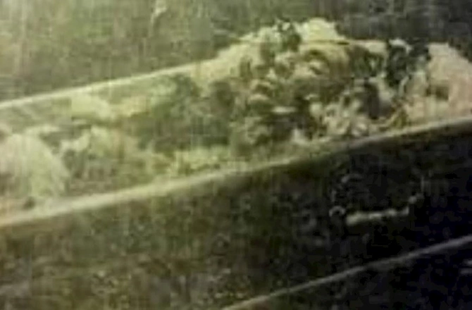 Cəfər Cabbarlının oğurlanmış beyni bu ölkədə gizlədilir — FOTO