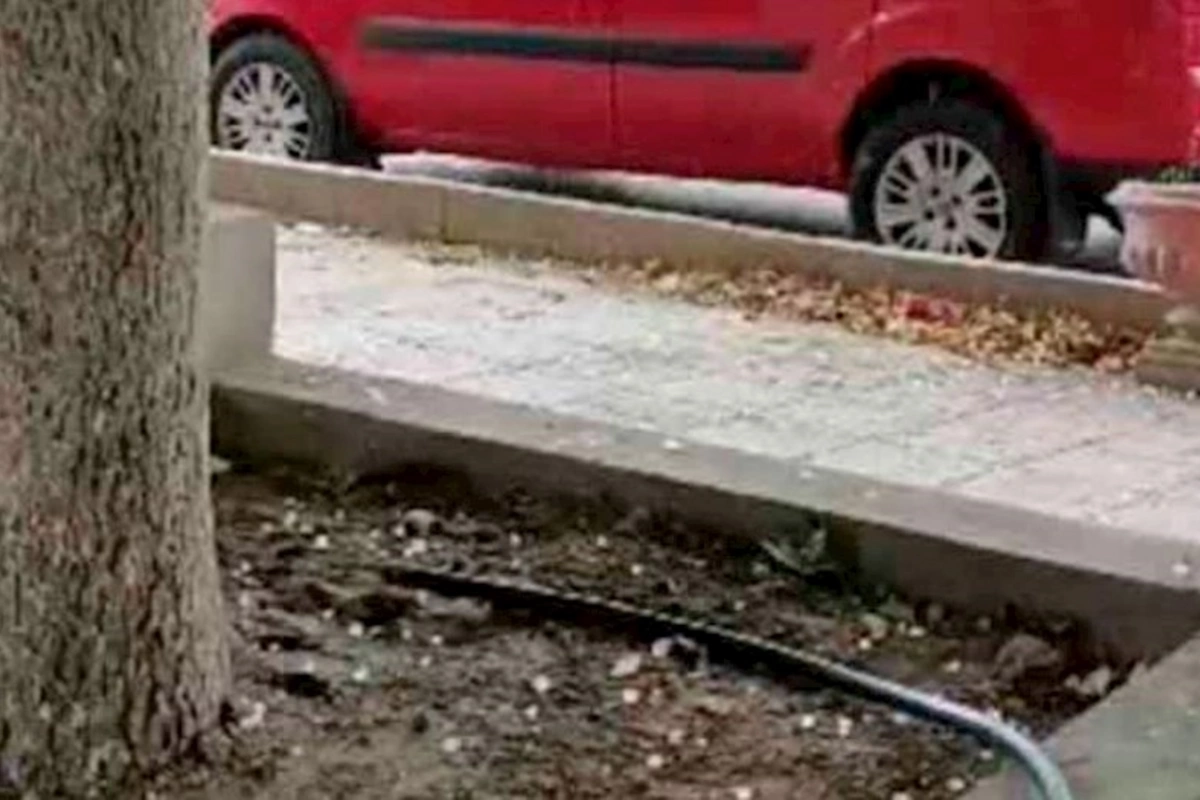 Gəncəyə dolu yağdı — VİDEO