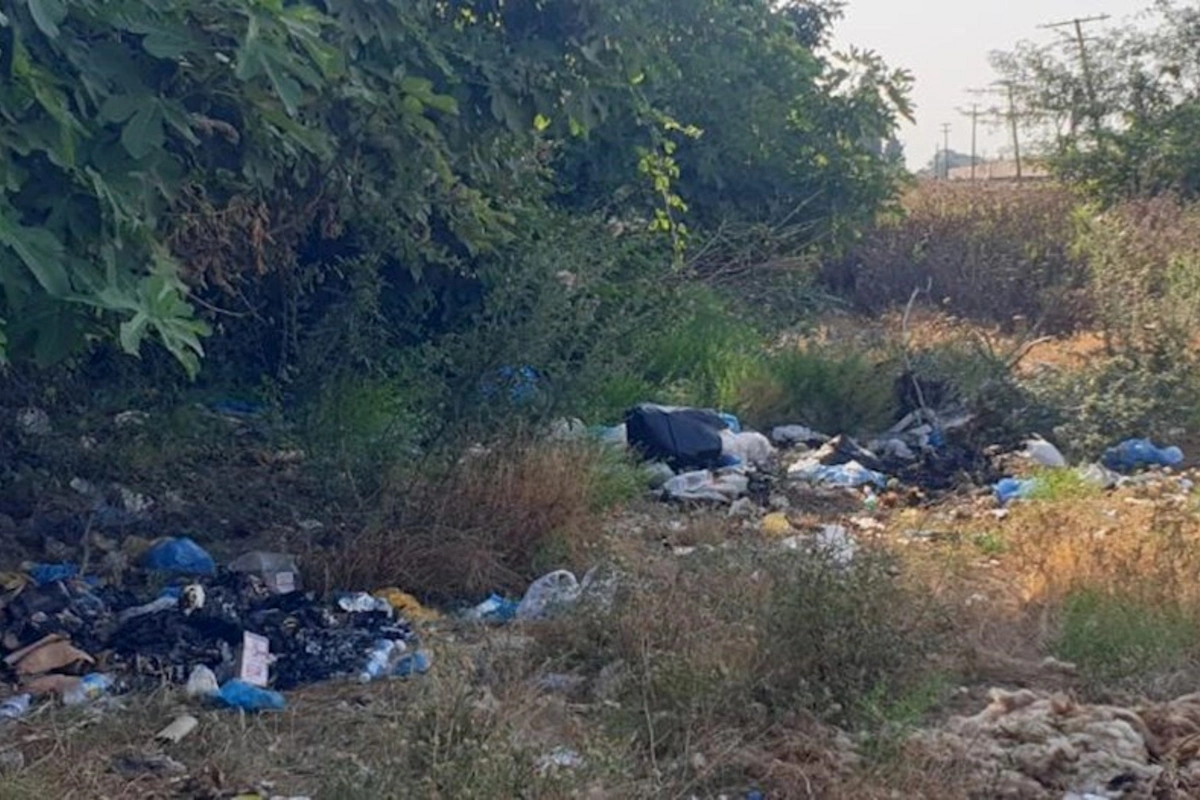 Masallıda ətraf mühiti zibilləyən 7 nəfər barəsində tədbir görüldü