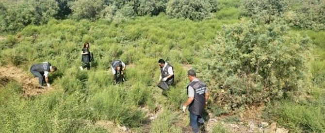 Xəzərin və Kürün sahillərindən tonlarla zibil yığıldı — FOTOLAR