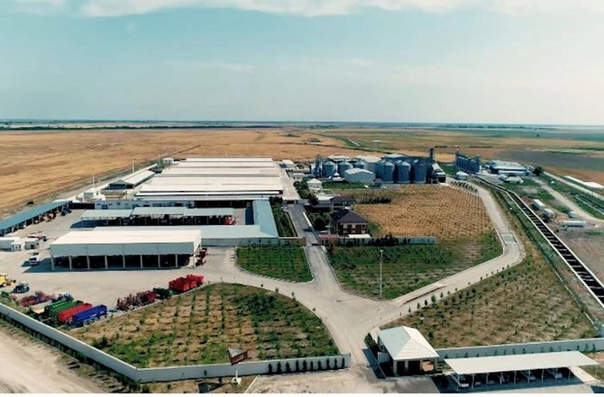 SOCAR-ın sabiq vitse-prezidenti 124 hektar torpağı mənimsəyib… — Mikayıl İsmayılova ŞOK İTTİHAMLAR