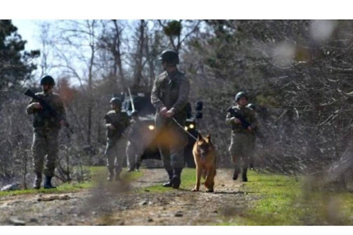 PKK terrorçusu saxlanıldı