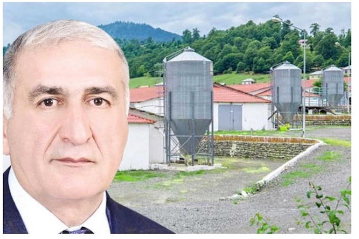 Depuatın borc içində batan şirkəti məhkəmə qarşısında — 10 min manatlıq cərimə...