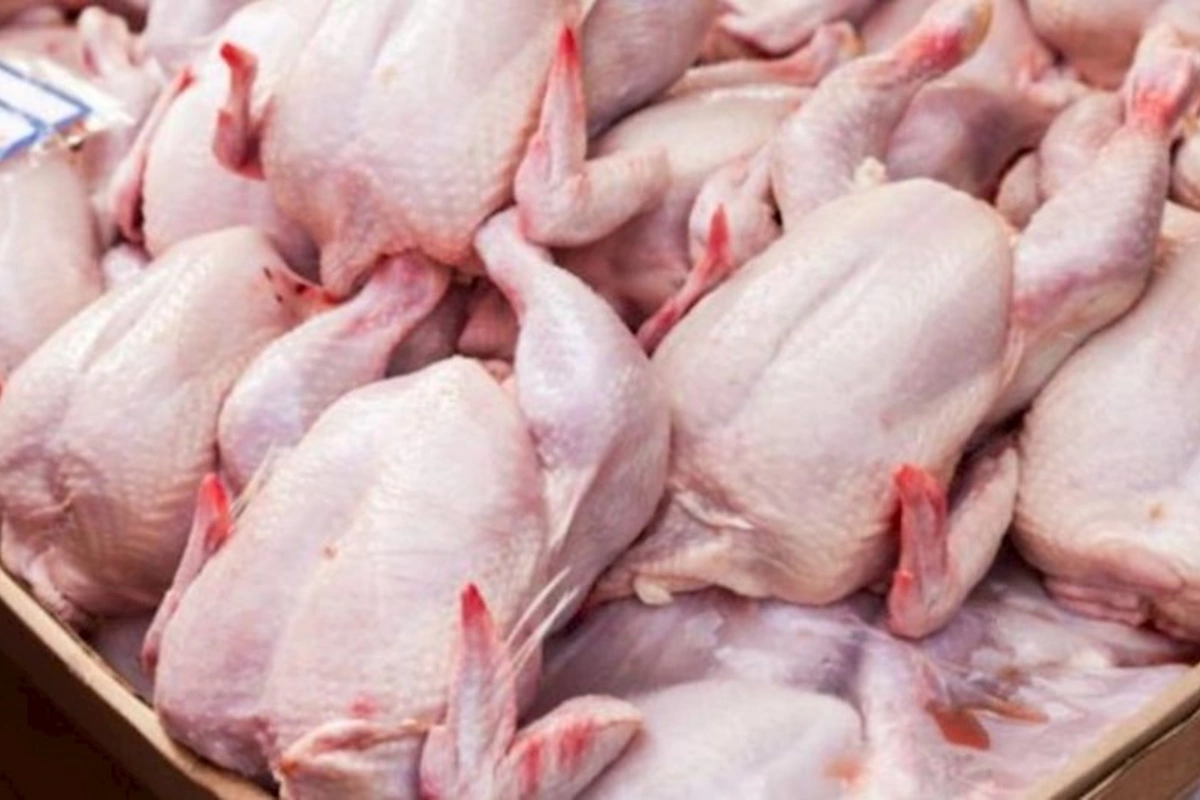 Ekspertdən XƏBƏRDARLIQ! Broyler toyuqlarına vurulan bu antibiotiklər təhlükəlidir
