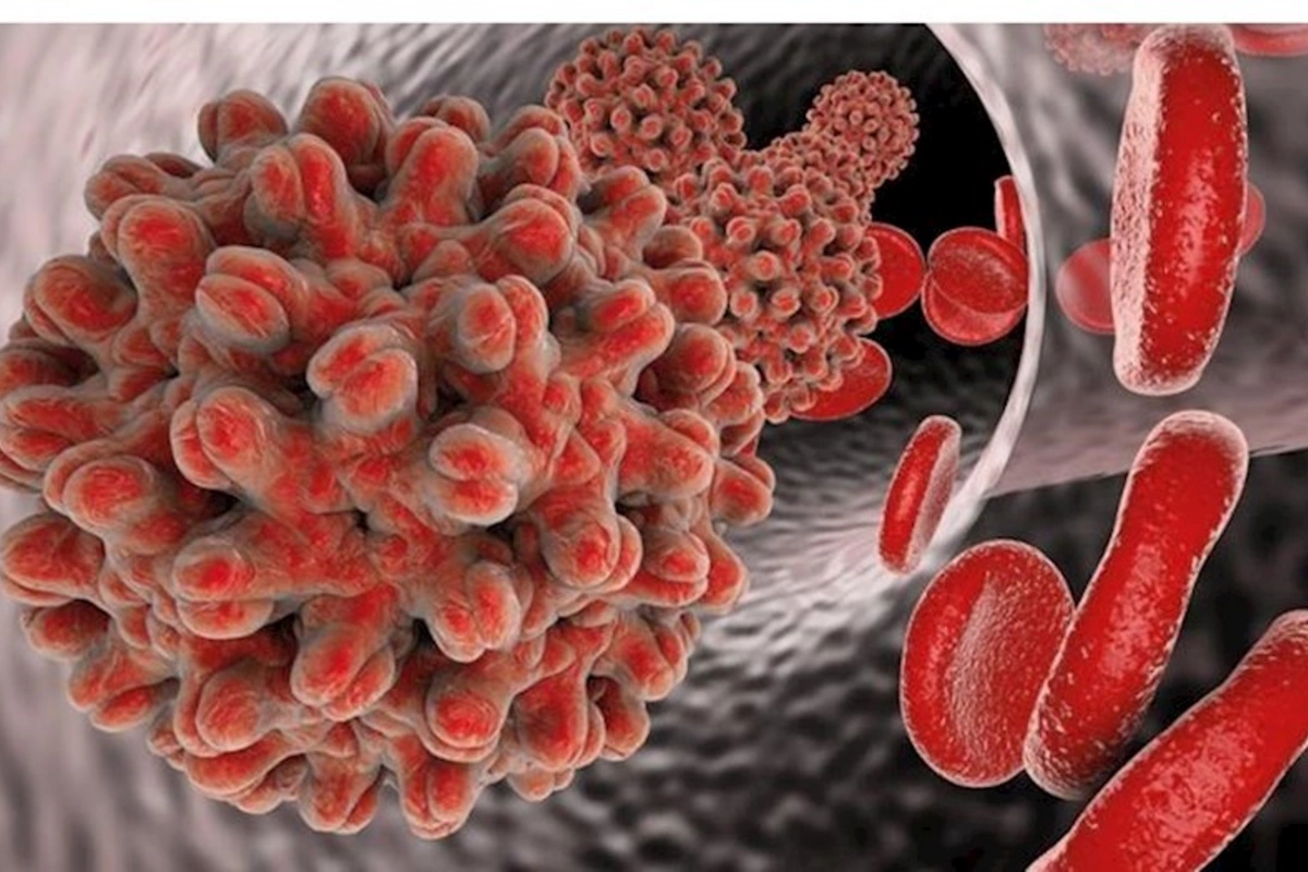 Bu ilin iyuluna qədər 934 nəfərdə hepatit C virusu aşkarlanıb