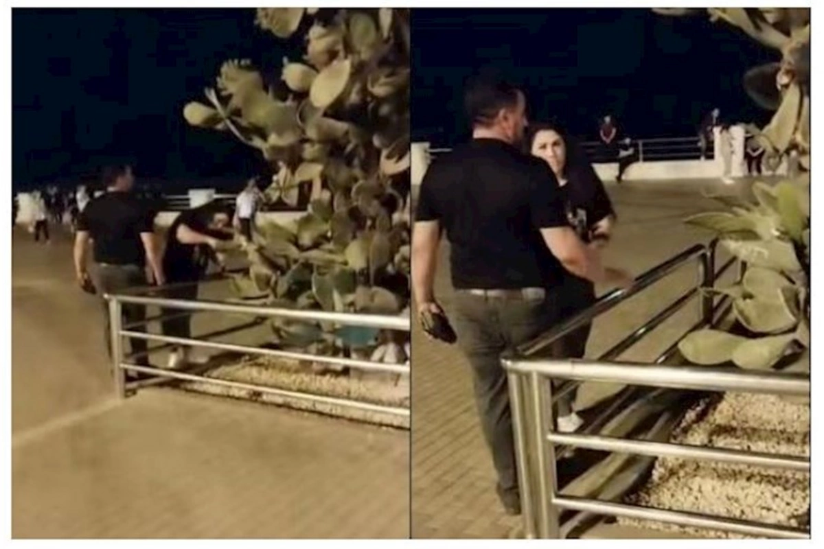 Dənizkənarı Bulvarda kaktusların soyqırımı davam edir — VİDEO
