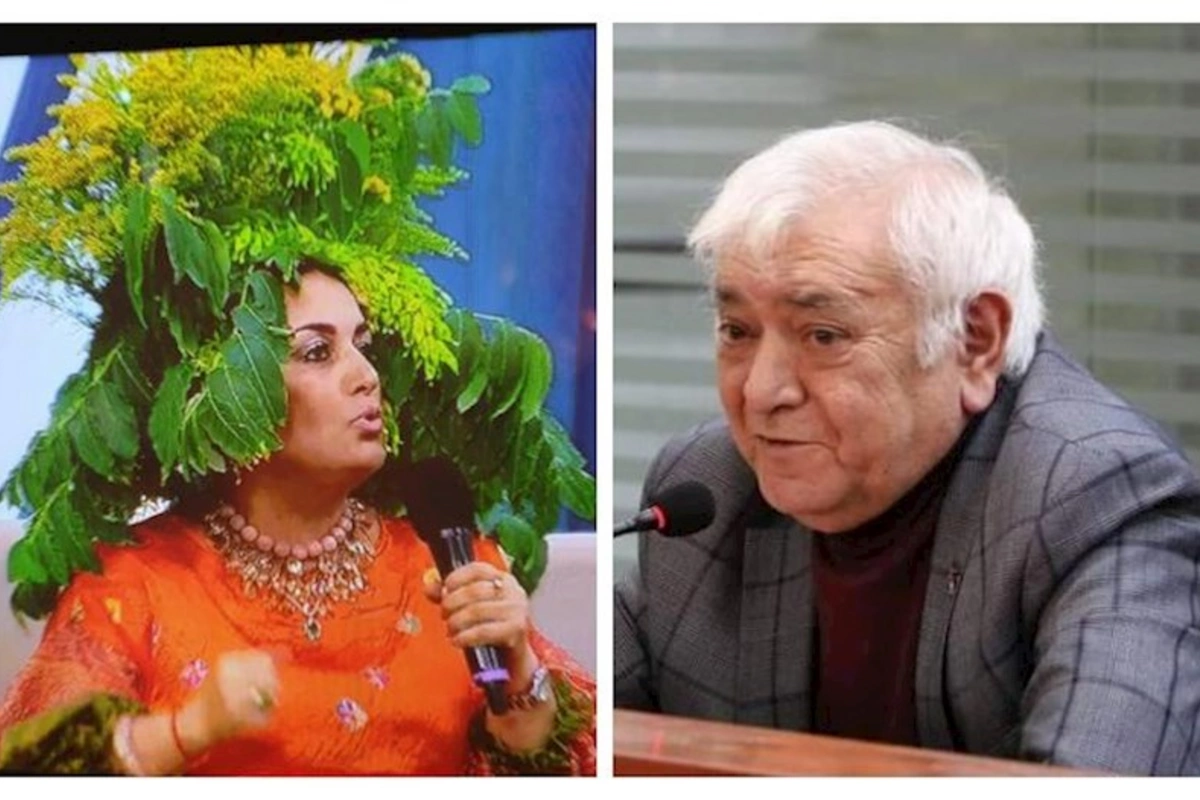 Deputat Elza Seyidcahanı müdafiə etdi: “O, şeirlərini ironiyayla yazır...”