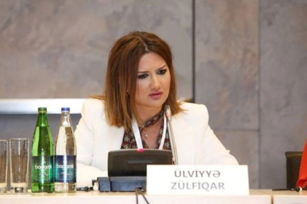 Ermənistanın və Fransanın milli azlıqlara qarşı etdikləri bu iki dövlət arasındakı bənzərliyi göstərir — Ülviyyə Zülfiqar