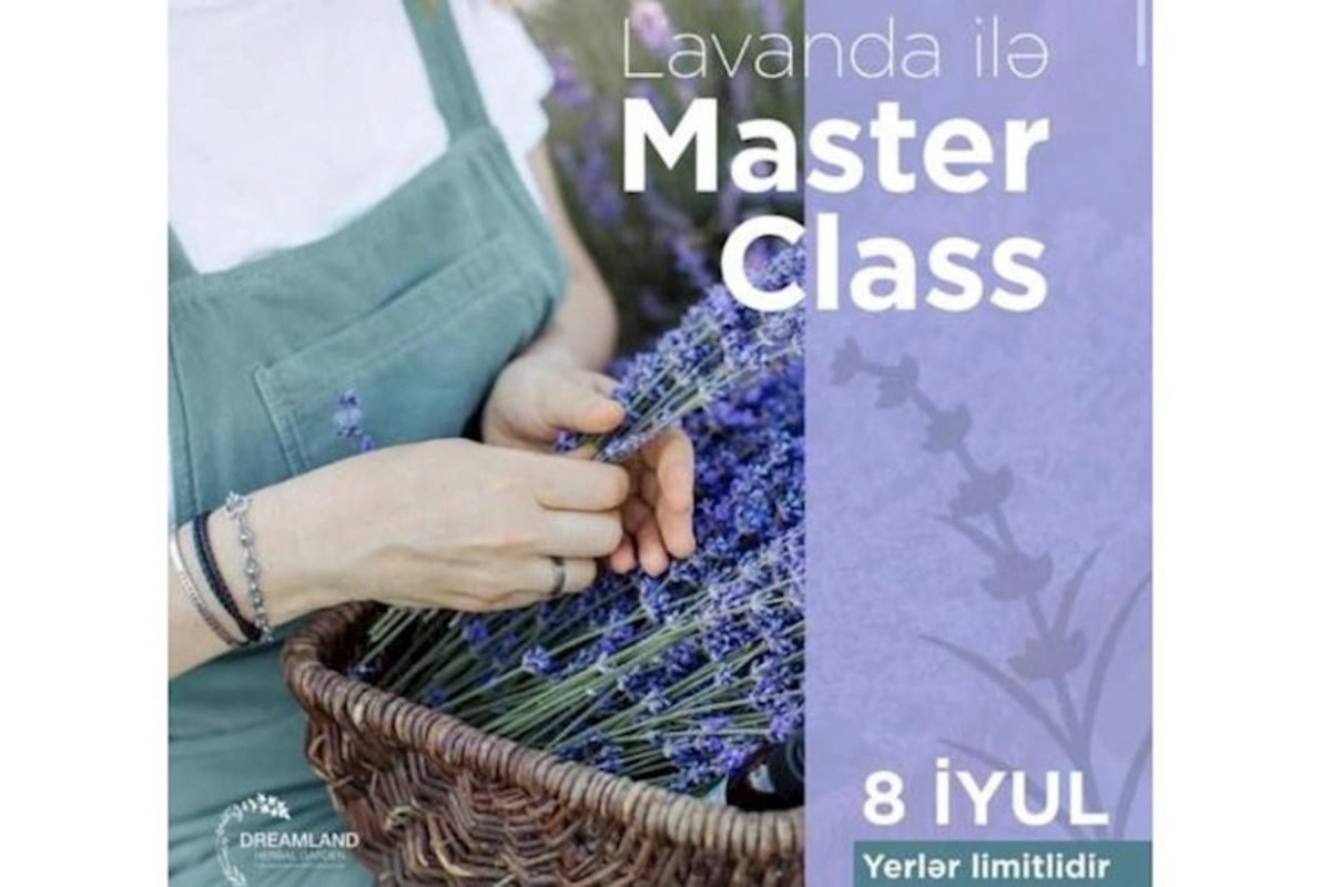 Lavanda ilə ustad dərsləri — FOTO