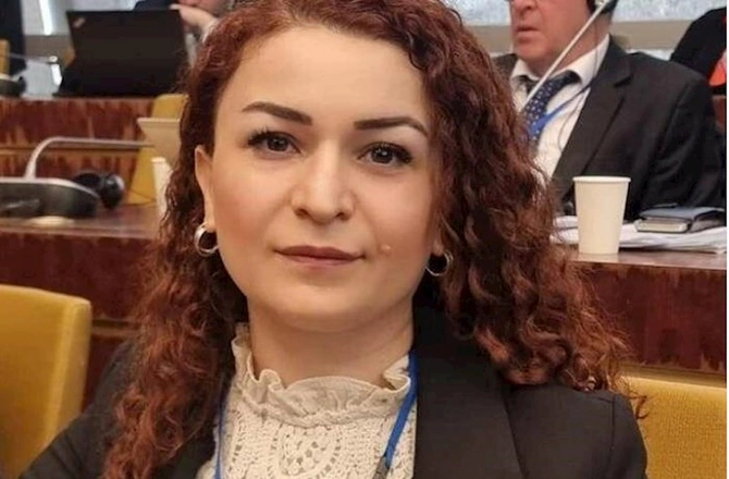 Seymur Talıbovun yerinə gətirilən xanım kimdir? — DOSYE (FOTO)