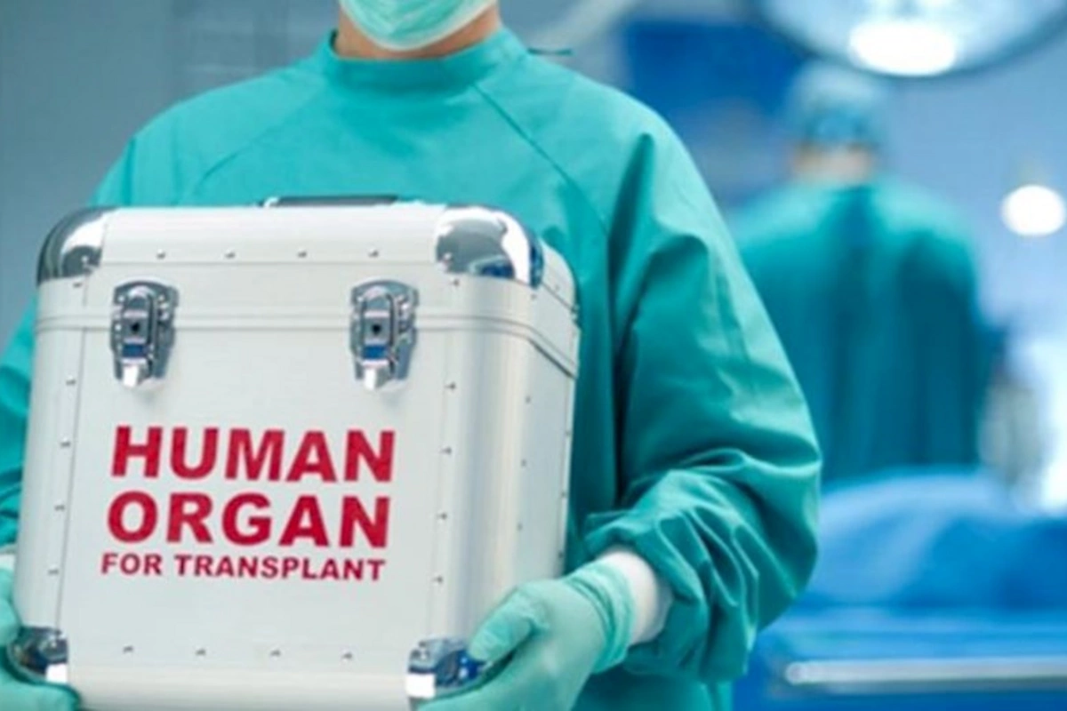 Qaraciyər, böyrək və sümük iliyi bu şərtlərlə transplantasiya olunacaq