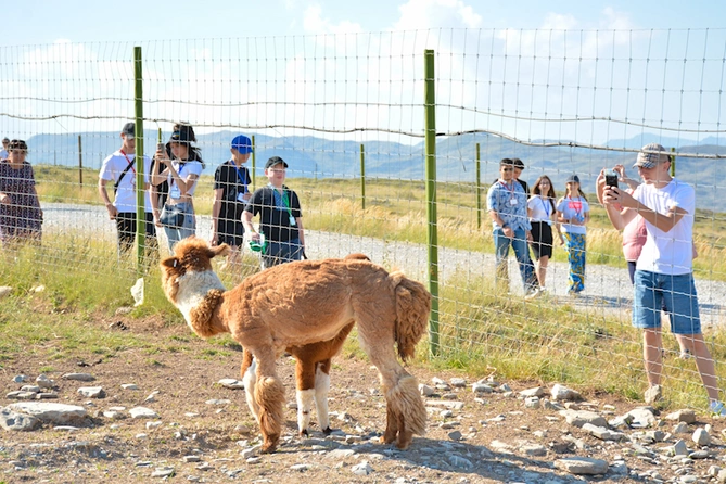 Ukraynalı uşaqların Şamaxıya da ekskursiyası təşkil edildi — FOTOLAR