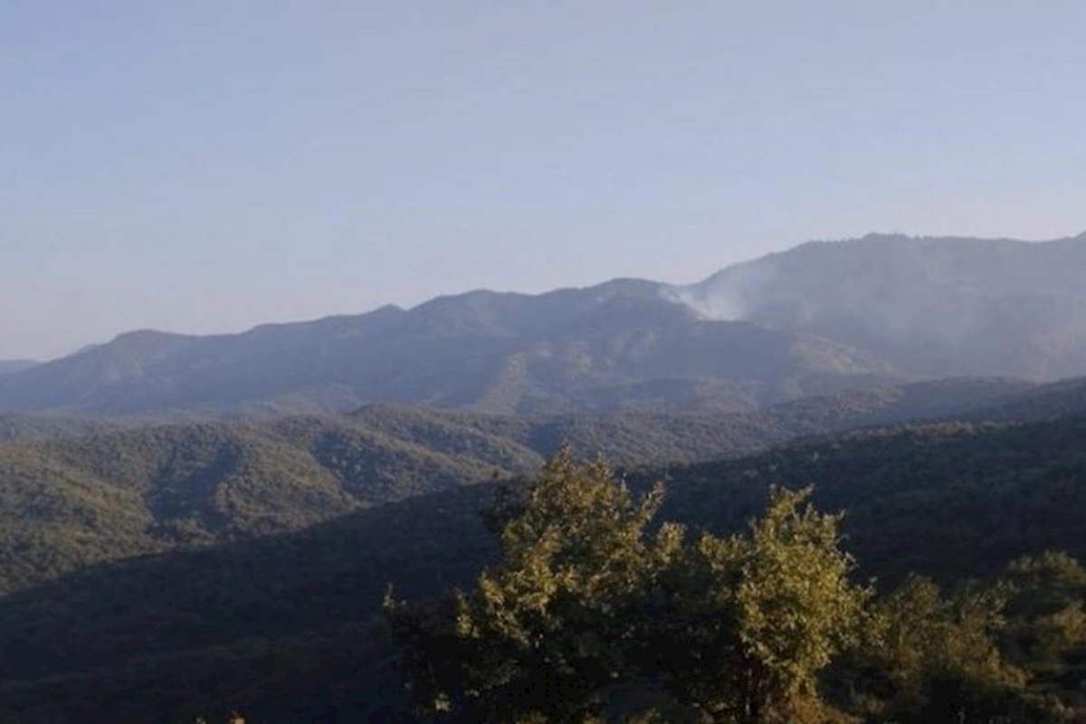 Cəlilabadda qəsdən yanğın törədildi