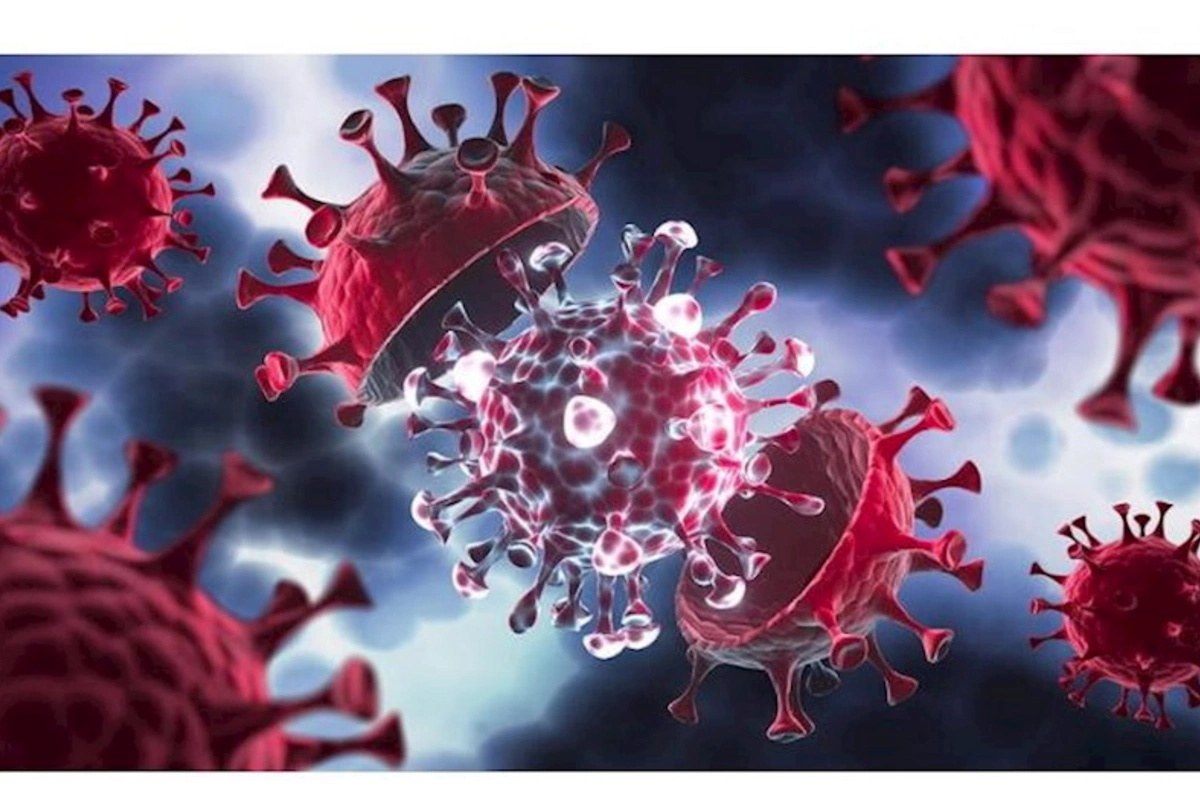 Azərbaycanda yeni virus təhlükəsi: Həkim xəbərdarlıq etdi