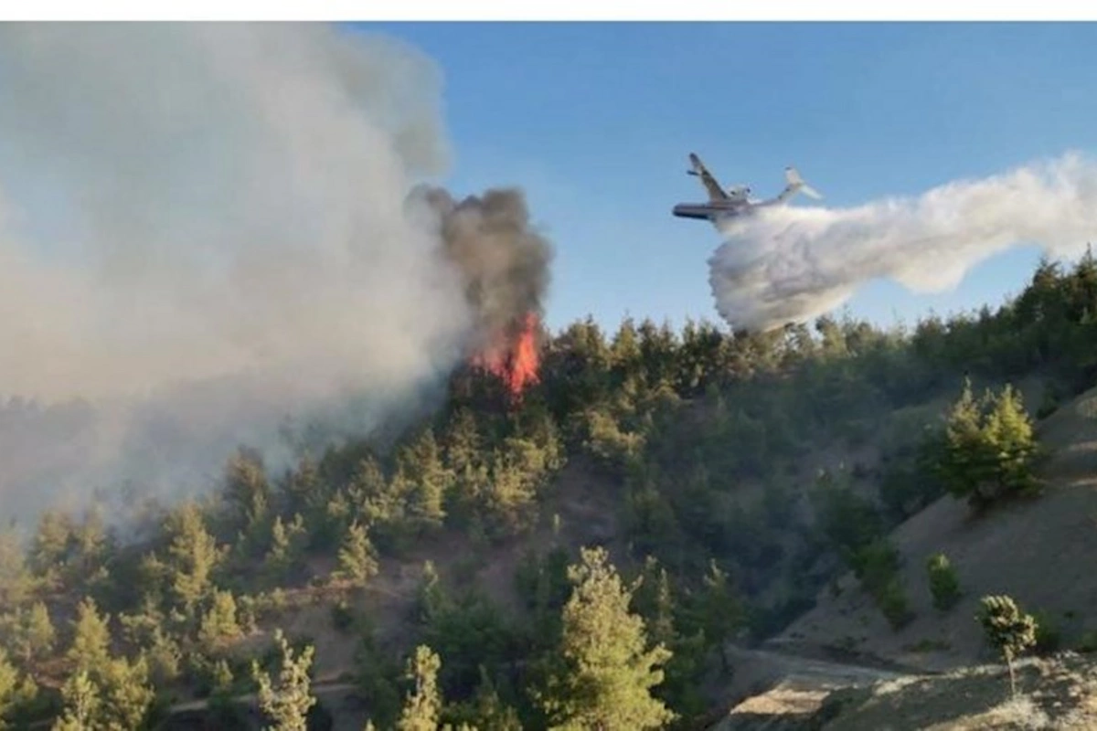Qəbələdə dağlıq ərazidəki yanğının söndürülməsinə helikopter cəlb olundu