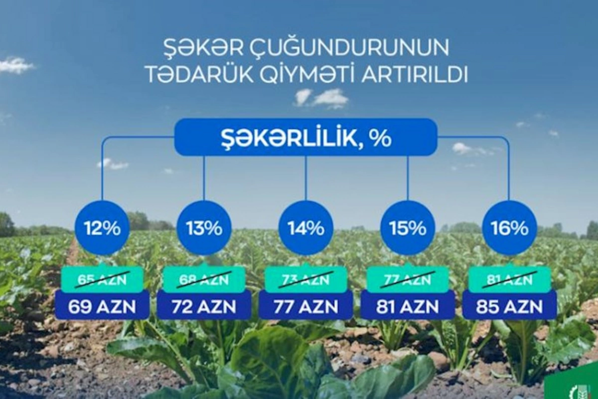 Şəkər çuğundurunun tədarük qiyməti artırıldı