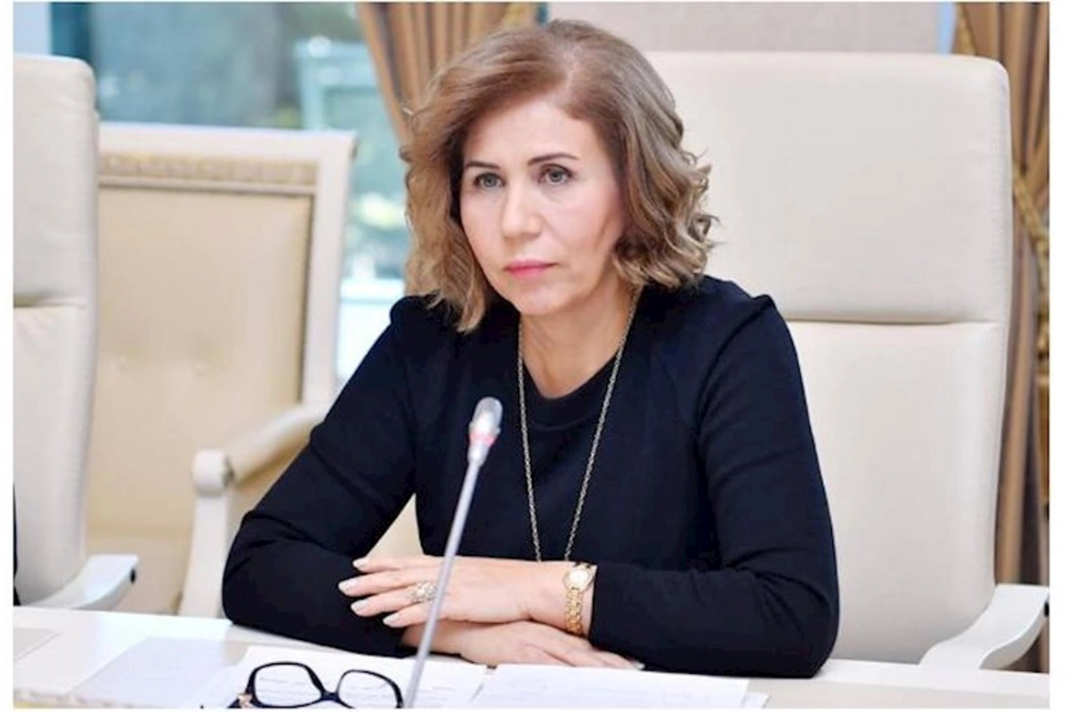 Media məhsulları sosial şüura təsir göstərir — Bahar Muradova