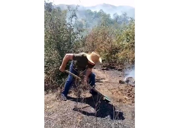 Azərbaycanda meşələrdə yanğın — FOTOLAR