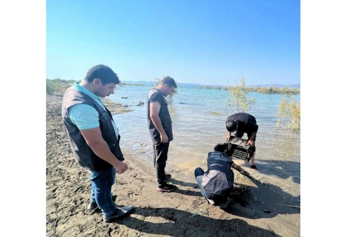 Qanunsuz ov edənlər cəzalandırıldı — FOTOLAR