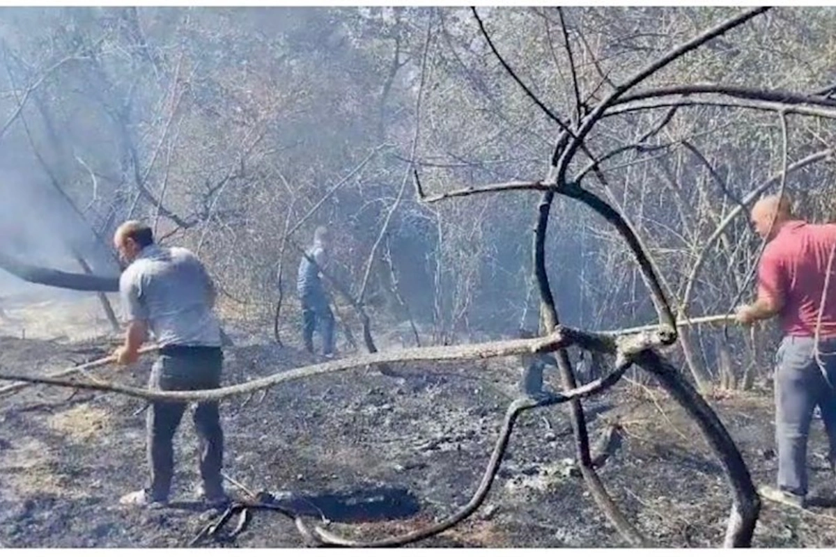 Azərbaycanda meşələrdə yanğın — FOTOLAR