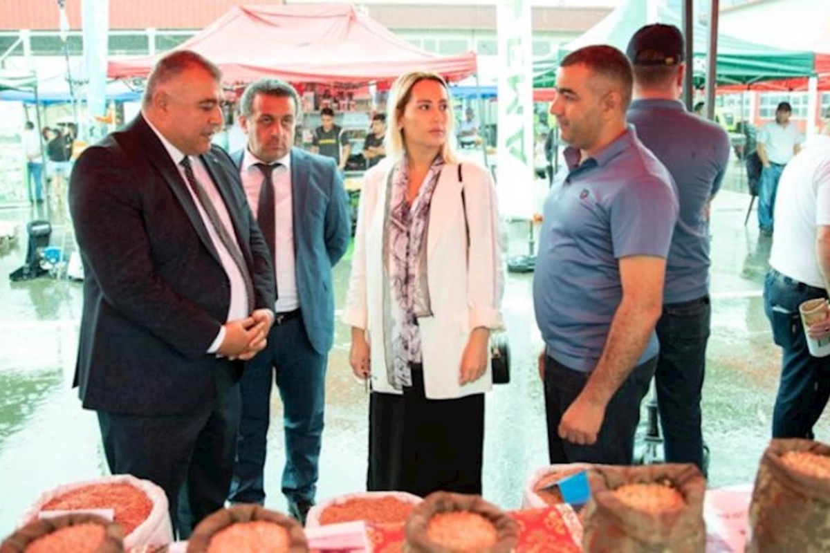 Ağstafada toxum sərgi-satış yarmarkası təşkil olunub — FOTOLAR