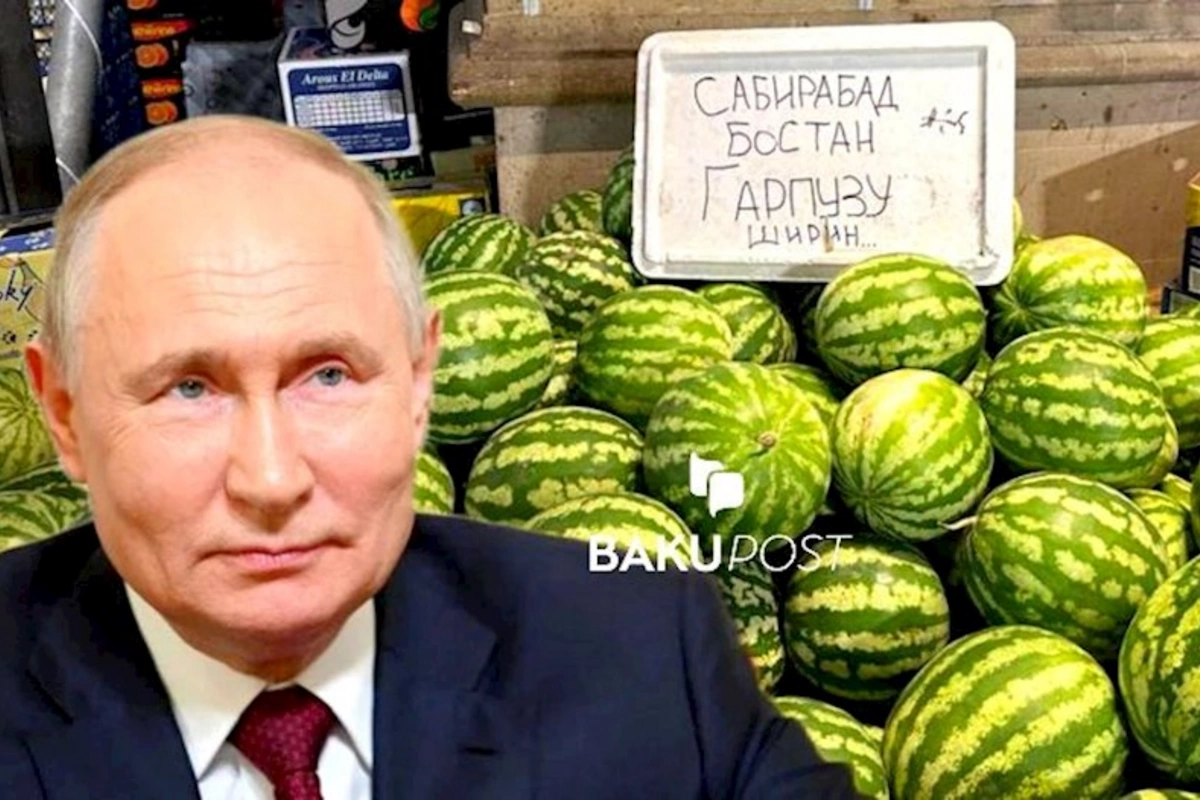Bakıda Putinə göndərilən xüsusi qarpız: Kilosu 3 manata... — FOTO