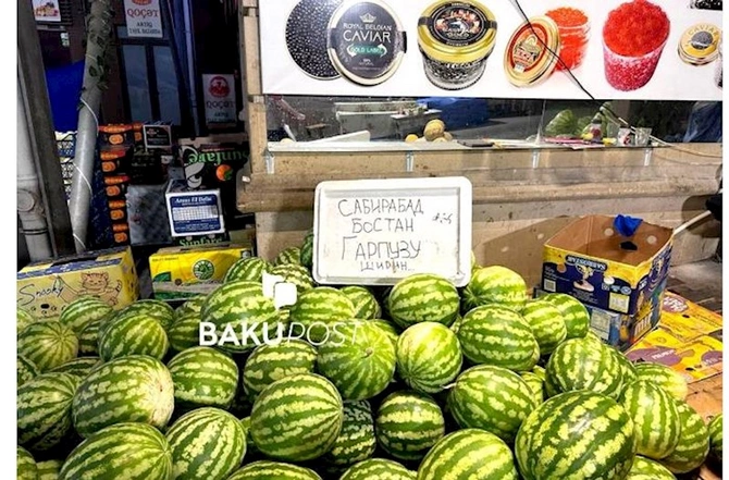 Bakıda Putinə göndərilən xüsusi qarpız: Kilosu 3 manata... — FOTO Bakıda Putinə göndərilən xüsusi qarpız: Kilosu 3 manata... — FOTO