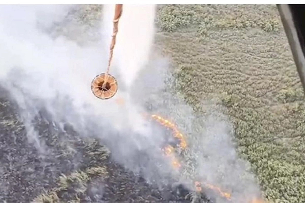 Qızılağac Milli Parkındakı yanğına helikopterlər cəlb olundu — VİDEO