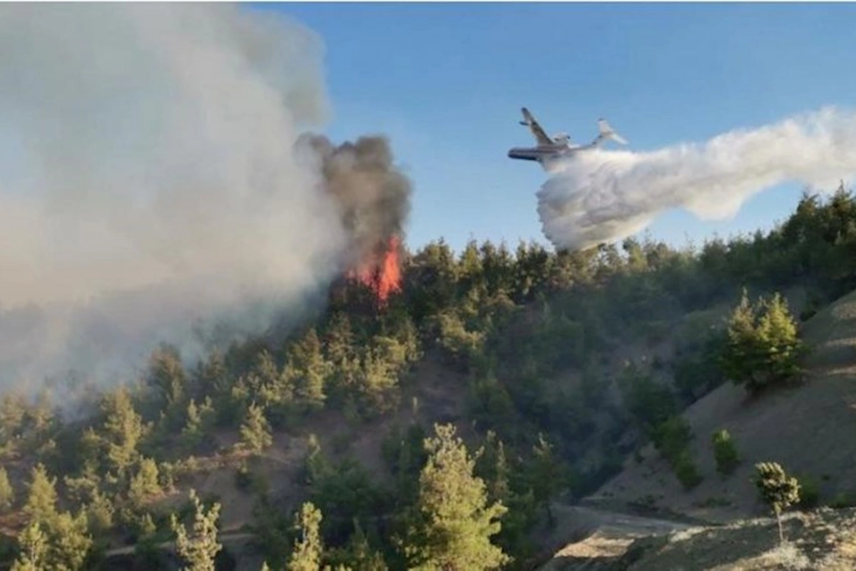 İzmirdə meşə YANĞINI: Təyyarə və helikopterlər cəlb olundu