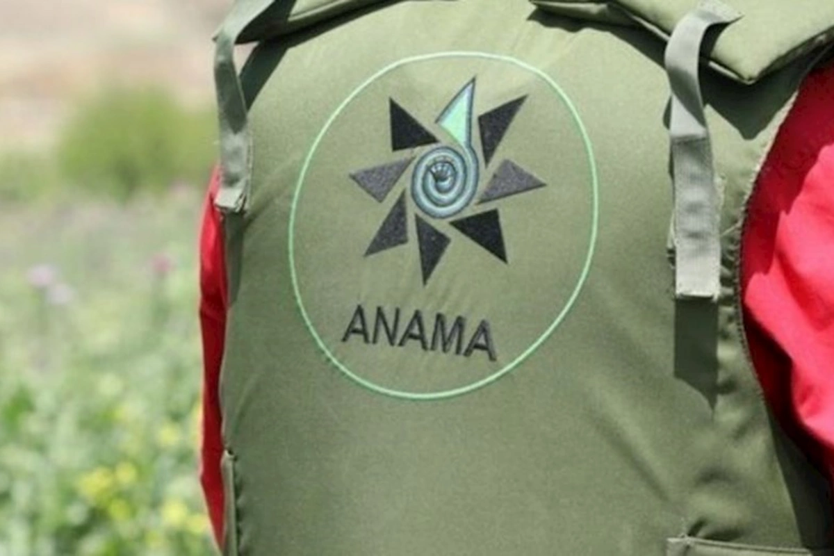 ANAMA-nın avtobusu Laçında qəzaya uğrayıb, 3 əməkdaş xəsarət alıb