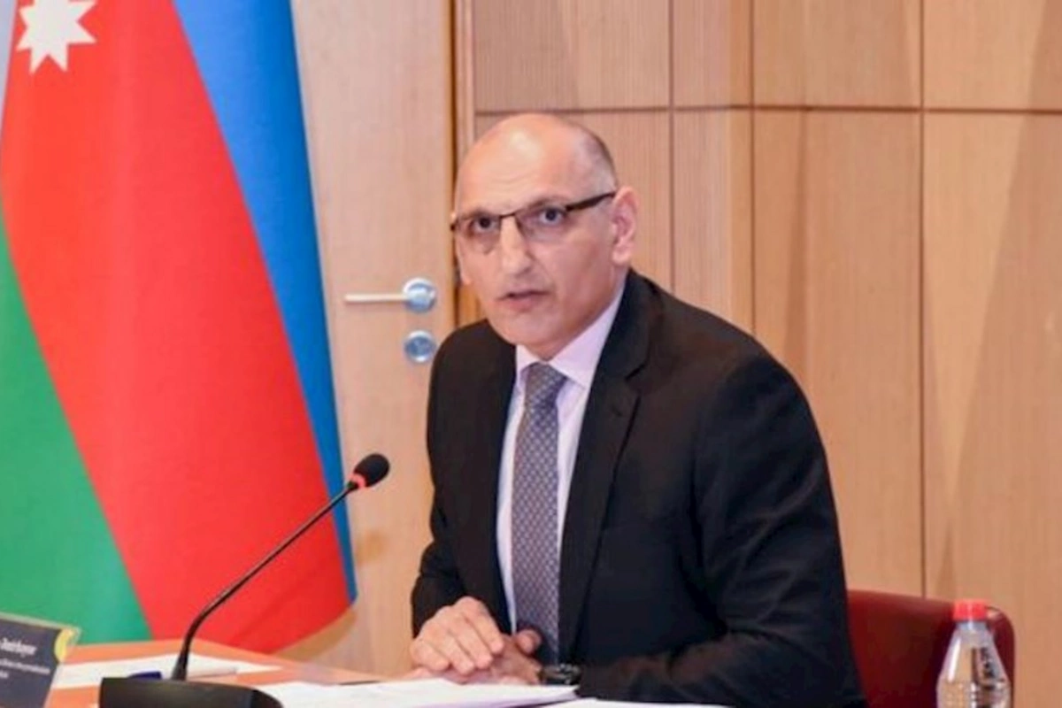 Prezidentin xüsusi nümayəndəsindən vacib AÇIQLAMA