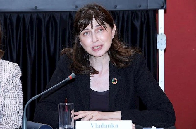 “Bərabərlik və inklüzivlik naminə əməkdaşlıq” mövzusunda beynəlxalq tədbir keçirildi — FOTO